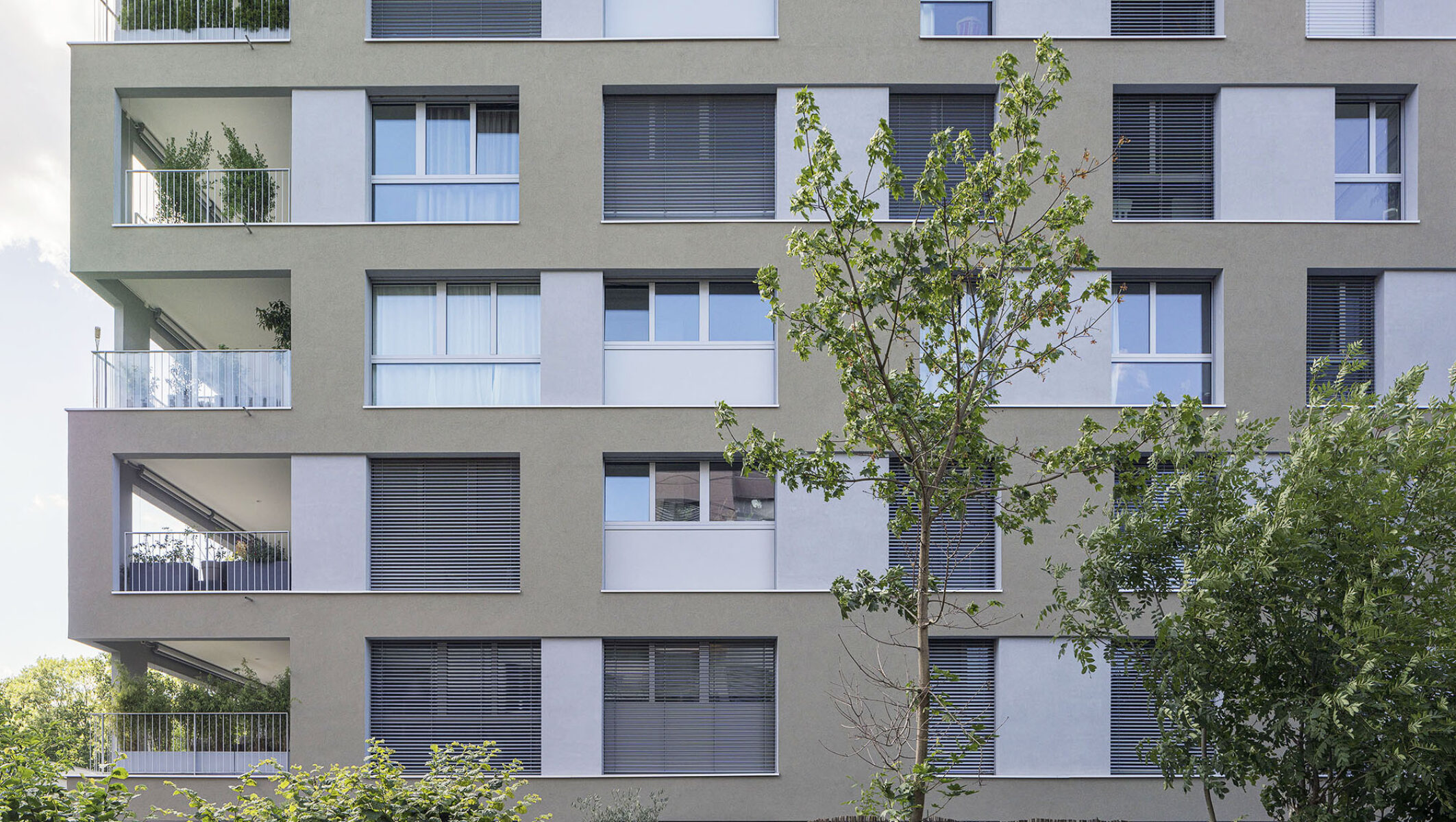 1 detail facade sous-bois